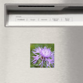 Paarse Korenbloem Magneet (Insitu (Vaatwasser))