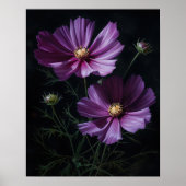 Paarse Kosmos Bloemen Art Print Poster (Voorkant)