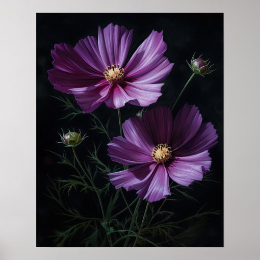 Paarse Kosmos Bloemen Art Print Poster (Voorkant)