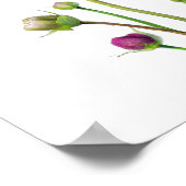 Paarse Kosmos Bloemen Art Print Poster (Hoek)