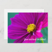 Paarse Kosmos Briefkaart (Voorkant / Achterkant)