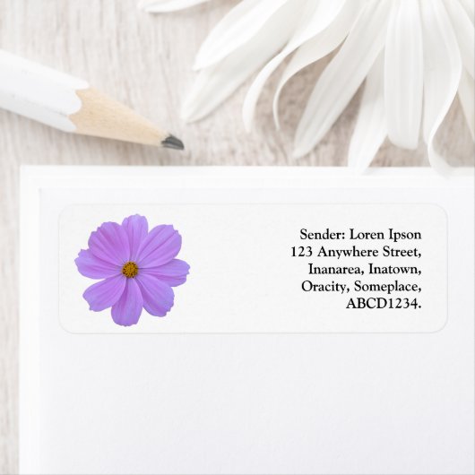 Paarse kosmos etiket (Insitu)