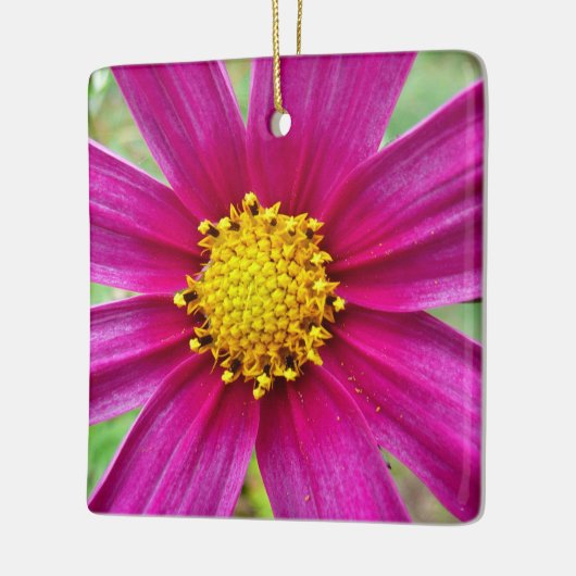 Paarse kosmos Wilde bloem Keramisch Ornament (Links)