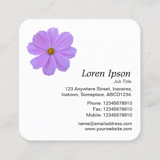 Paarse kosmos - wit vierkante visitekaartje (Achterkant)
