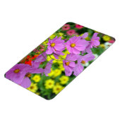Paarse kosmosbloemen magnet magneet (Linkerzijde)