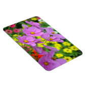 Paarse kosmosbloemen magnet magneet (Rechterzijde)