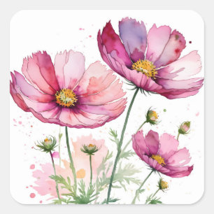 Paarse kosmosbloemen vierkante sticker