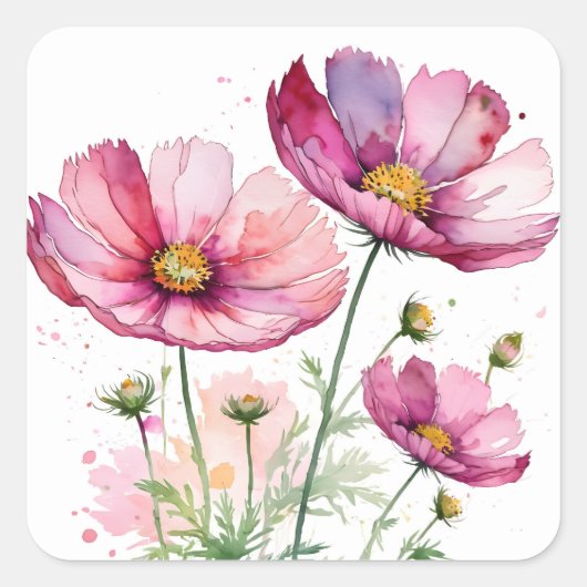 Paarse kosmosbloemen vierkante sticker (Voorkant)