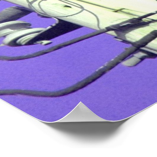 Paarse kraairavens zingend Poster (Hoek)