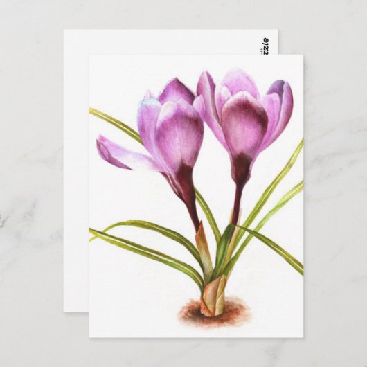 Paarse kroeskunst waterverf briefkaart (Voorkant / Achterkant)