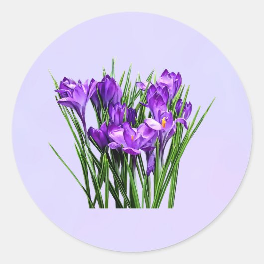 Paarse Krokozen Ronde Sticker (Voorkant)
