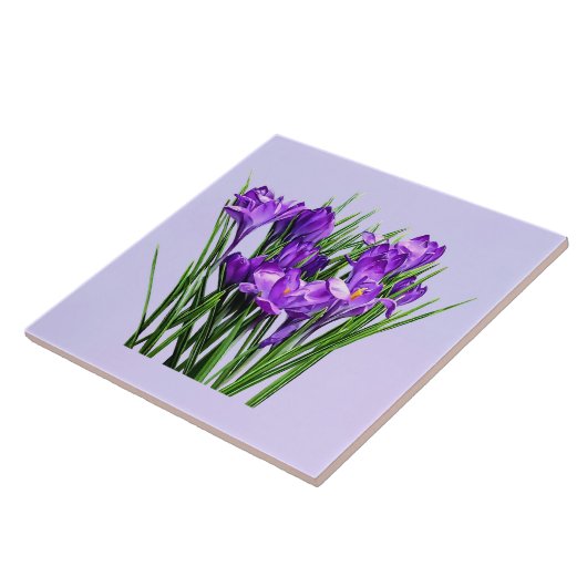 Paarse Krokozen Tegeltje (Zijkant)