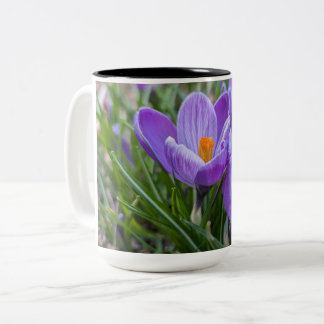 Paarse Krokus Bloem Tweekleurige Koffiemok