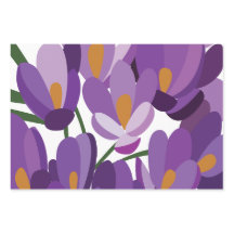Paarse Krokus Bloemen