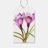 Paarse krokus lente bloem waterverf geschenk label cadeaulabel (Voorkant)