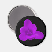 Paarse Krokus Magneet (Voorkant / Achterkant)