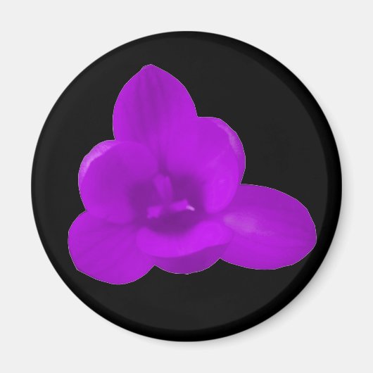 Paarse Krokus Magneet (Voorkant)