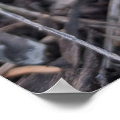 Paarse krokus poster (Hoek)