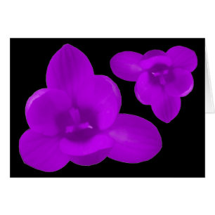 Paarse krokus wenskaart