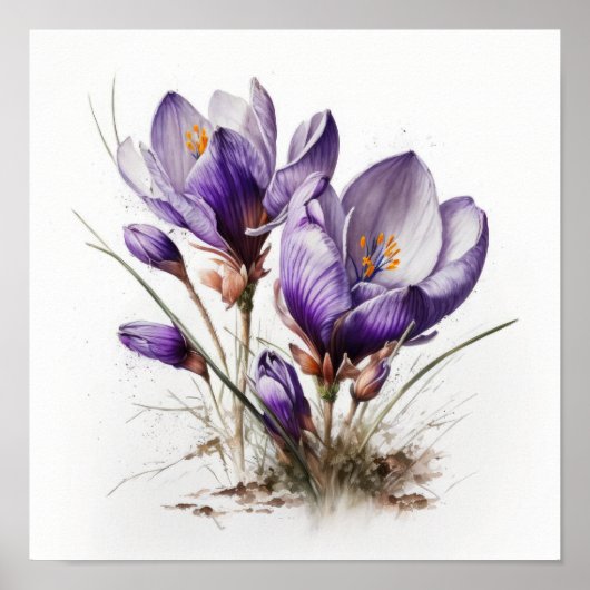 Paarse Krokusbloemen Art Print Poster (Voorkant)