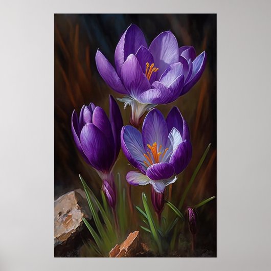 Paarse Krokusbloemen Art Print Poster (Voorkant)