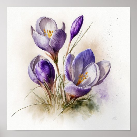Paarse Krokusbloemen Art Print Poster (Voorkant)