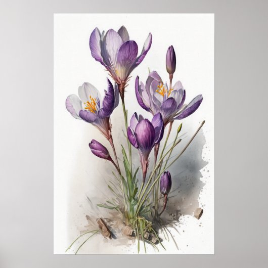 Paarse Krokusbloemen Art Print Poster (Voorkant)