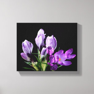 Paarse krokusbloemen boho moderne digitale beelden canvas afdruk