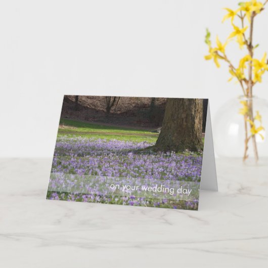 Paarse Krokussen DSC5434 Kaart (Gele Bloem)