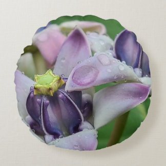 Paarse kroon bloemkussen rond kussen