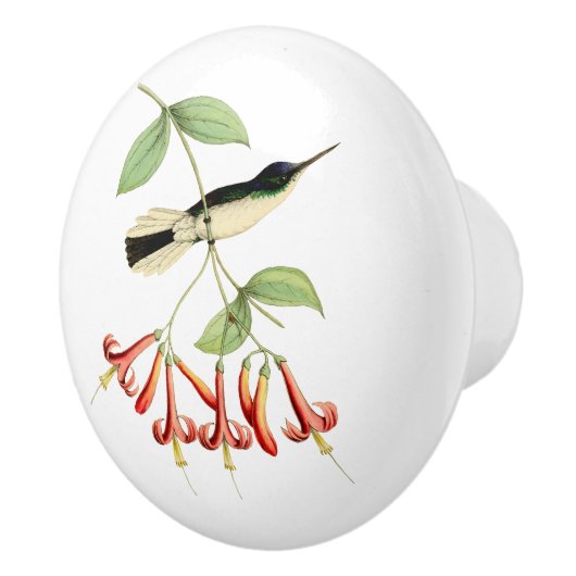 Paarse krowned Fairy Hummingbird Keramische Knop (Rechts)