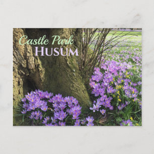 Paarse kruidenieten in Bloom, Husum, Duitsland Briefkaart