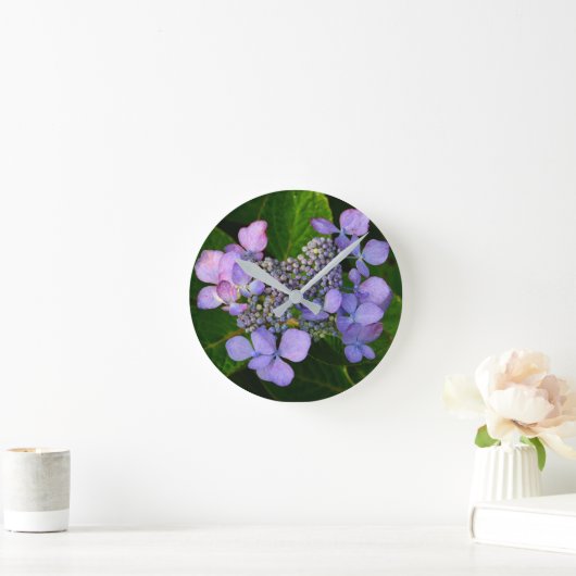 Paarse Lacecap Hydrangea Ronde Klok (Huis)