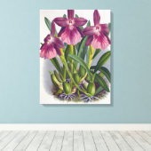  Paarse Lady Orchids Miltonia Spectabilis Canvas Afdruk (Insitu (Houten vloer))