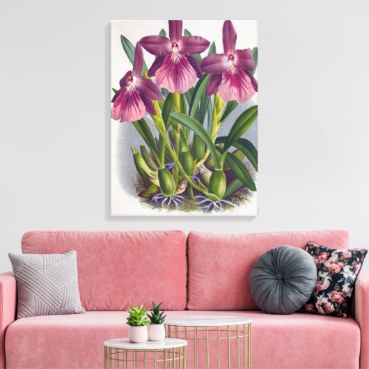  Paarse Lady Orchids Miltonia Spectabilis Canvas Afdruk (Insitu (Woonkamer))