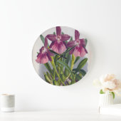  Paarse Lady Orchids Miltonia Spectabilis Grote Klok (Huis)