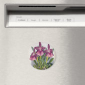  Paarse Lady Orchids Miltonia Spectabilis Magneet (Insitu (Vaatwasser))