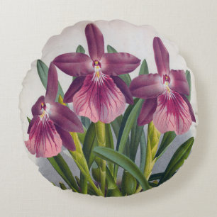 Paarse Lady Orchids Miltonia Spectabilis Rond Kussen