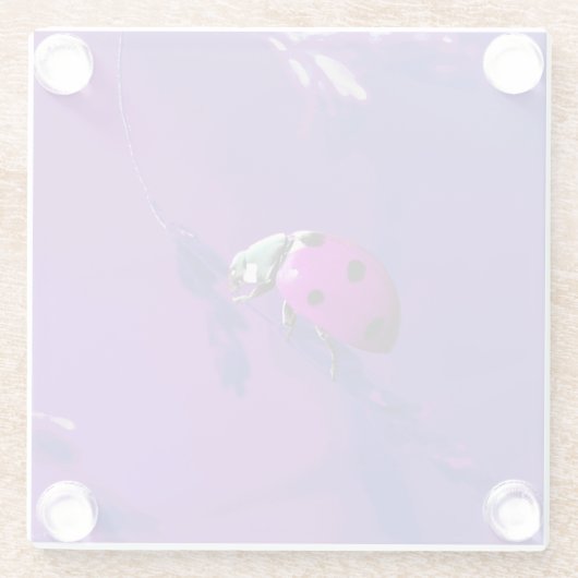 Paarse Ladybug Glazen Onderzetter (Achterkant)