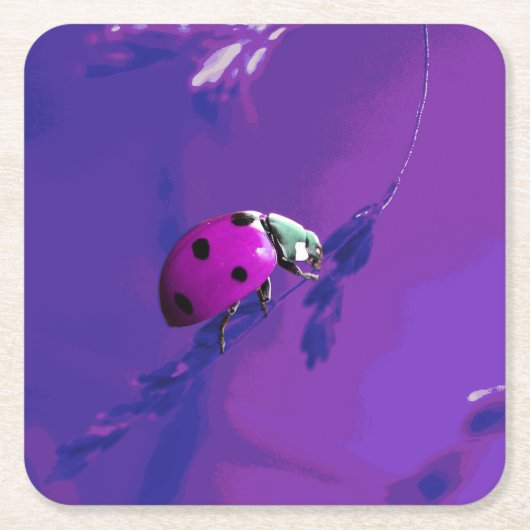 Paarse Ladybug Kartonnen Onderzetters (Voorkant)