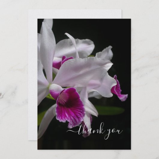 Paarse Laelia Orchids Bedankkaart (Voorkant / Achterkant)