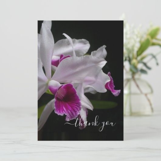 Paarse Laelia Orchids Bedankkaart (Staand voorkant)