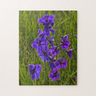 Paarse Larkspur in de avond Legpuzzel