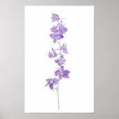 paarse larkspurs bloemen aquarel poster (Voorkant)