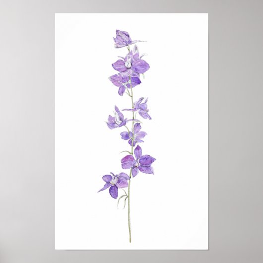 paarse larkspurs bloemen aquarel poster (Voorkant)