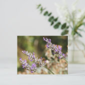 Paarse lavendel bloemen briefkaart (Staand voorkant)