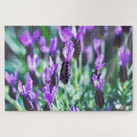 Paarse lavendel bloemen legpuzzel (Horizontaal)
