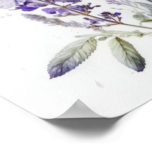 Paarse Lavendel Flowers Art Print Poster (Hoek)