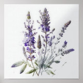 Paarse Lavendel Flowers Art Print Poster (Voorkant)