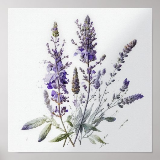 Paarse Lavendel Flowers Art Print Poster (Voorkant)